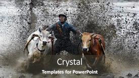  Presentation with pacu - Audience pleasing slide set consisting of sumatera-indonesia-february-11 backdrop and a dark gray colored foreground