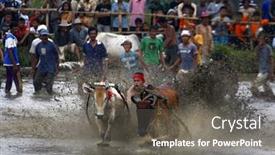  Presentation with pacu - Beautiful PPT layouts featuring sumatera-indonesia-february-11 backdrop and a gray colored foreground