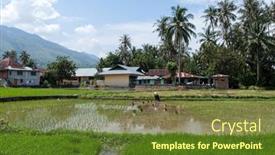  Presentation with paddy field - 
