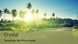  Presentation with jungle - Cool new slide deck with summer - empty road in jungle backdrop and a yellow colored foreground