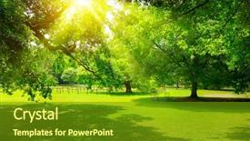  Presentation with sunrise - Colorful PPT layouts enhanced with summer - sunrise in the beautiful park backdrop and a tawny brown colored foreground