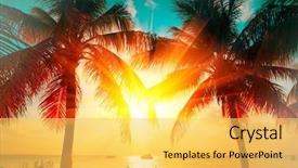  Presentation with tourism - Cool new presentation theme with summer - sunset beach with palm trees backdrop and a yellow colored foreground