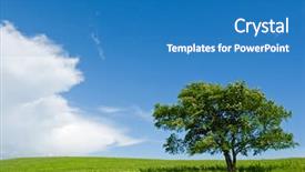  Presentation with lonely - Presentation design having summer-a-lonely-tree-foothills background and a teal colored foreground