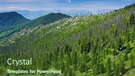  Presentation with siberia - Amazing slide set having summer-alpine-landscape-in-altai backdrop and a tawny brown colored foreground