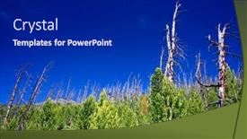  Presentation with siberia - Slide set with summer-alpine-landscape-in-altai background and a dark gray colored foreground