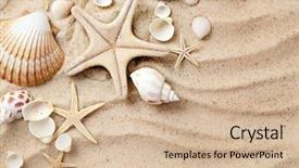  Presentation with seashell - PPT theme consisting of summer background seashells border background and a soft green colored foreground