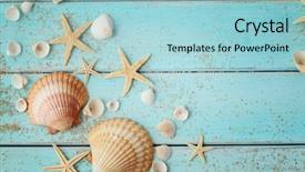  Presentation with seashell - Colorful PPT layouts enhanced with summer background seashells border backdrop and a light blue colored foreground