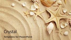  Presentation with seashell - Presentation design with summer background seashells on sand background and a coral colored foreground