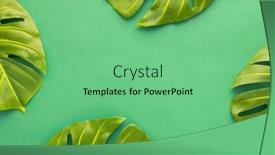  Presentation with leaves flat lay - Presentation design with summer-background-with-green-tropical background and a seafoam green colored foreground