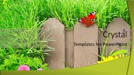  Presentation with summer - Slides with summer-background-with-old-wooden background and a coral colored foreground