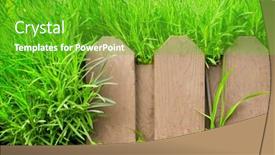  Presentation with summer - Presentation theme featuring summer-background-with-old-wooden background and a shamrock green colored foreground