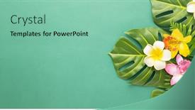  Presentation with tropical flowers - Beautiful PPT theme featuring summer-background-with-tropical-orchid backdrop and a mint green colored foreground