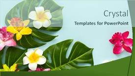  Presentation with tropical flowers - PPT theme featuring summer-background-with-tropical-orchid background and a cool aqua colored foreground