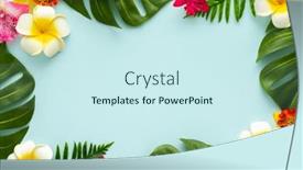  Presentation with tropical flowers - PPT layouts with summer-background-with-tropical-orchid background and a cool aqua colored foreground