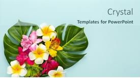  Presentation with tropical flowers - Theme having summer-background-with-tropical-orchid background and a cool aqua colored foreground