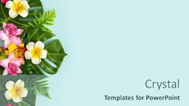  Presentation with tropical flowers - Presentation design with summer-background-with-tropical-orchid background and a cool aqua colored foreground