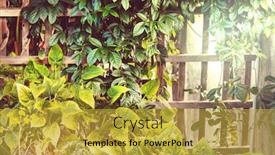  Presentation with leaves - Cool new presentation with summer-background-with-tropical-tree backdrop and a yellow colored foreground