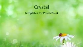  Presentation with summer - Beautiful slides featuring woman drinking mineral bottled water backdrop and a tawny brown colored foreground