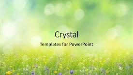  Presentation with summer - Cool new slides with summer background backdrop and a soft green colored foreground