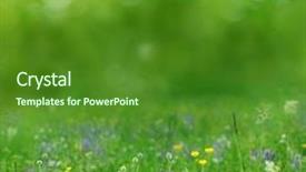  Presentation with watercolor summer floral - Colorful theme enhanced with summer background backdrop and a forest green colored foreground