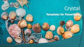  Presentation with beach frame - Slides enhanced with summer-beach-background-frame-seashells background and a teal colored foreground
