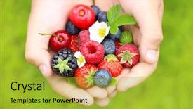  Presentation with fruits - Colorful PPT theme enhanced with summer berry fruits in handsgreen backdrop and a yellow colored foreground