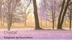  Presentation with infrared - PPT layouts featuring summer-blooming-park-infrared-shooting background and a coral colored foreground