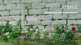  Presentation with fragrant - Presentation design consisting of summer-blossom-of-fragrant-colorful background and a  colored foreground