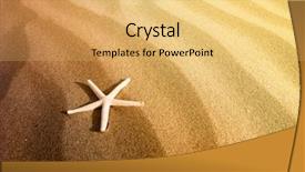  Presentation with starfish - Slides consisting of summer break - starfish on a sand beach background and a yellow colored foreground
