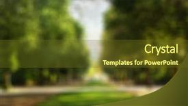  Presentation with blurred bokeh - Beautiful slide deck featuring summer city park blurred background backdrop and a tawny brown colored foreground