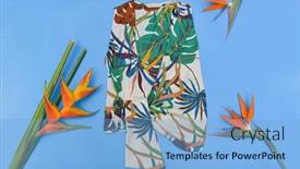  Presentation with blue floral - Colorful slide set enhanced with summer-clothes-with-floral-pattern backdrop and a light blue colored foreground