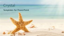  Presentation with shells - Cool new theme with summer concept with sandy beach shells and starfish backdrop and a light blue colored foreground