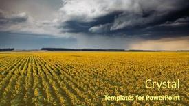  Presentation with earth eye - Slides consisting of summer-day-with-yellow-sunflowers background and a tawny brown colored foreground
