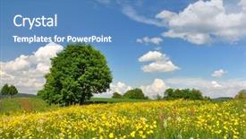  Presentation with switzerland - Slide deck having summer field switzerland background and a teal colored foreground