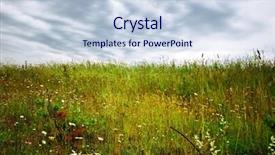  Presentation with gloomy - Presentation enhanced with summer field under gloomy sky background and a lemonade colored foreground