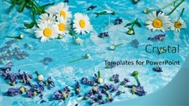  Presentation with vintage floral - Slide deck with summer-floral-card-with-chamomile background and a light blue colored foreground