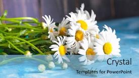  Presentation with vintage floral - Cool new presentation theme with blue vintage painted wooden background backdrop and a light blue colored foreground