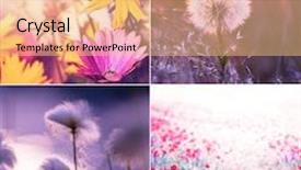  Presentation with summer flowers - Presentation design enhanced with summer flowers collage background and a coral colored foreground