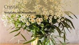  Presentation with flowers vase - Colorful presentation design enhanced with summer-flowers-in-the-vase backdrop and a coral colored foreground