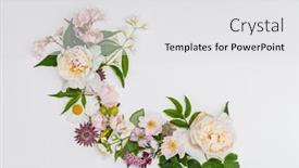  Presentation with summer flowers - Amazing PPT layouts having summer-flowers-on-the-white backdrop and a white colored foreground
