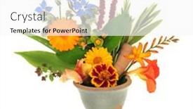  Presentation with alternative - Slides with summer-flowers-wildflowers-and-herbs background and a white colored foreground