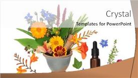  Presentation with aromatherapy - PPT layouts with summer-flowers-wildflowers-and-herbs background and a white colored foreground