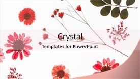  Presentation with summer flowers - PPT theme with summer flowers background and a lemonade colored foreground