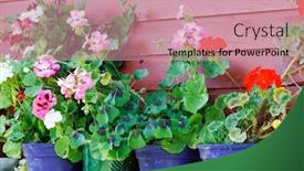  Presentation with summer flowers - Slide deck featuring summer-flowers background and a coral colored foreground