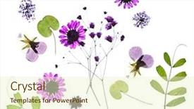  Presentation with summer flowers - Colorful presentation design enhanced with summer flowers backdrop and a cream colored foreground