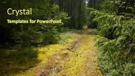  Presentation with pine forest - Presentation with summer-forest-with-pine background and a tawny brown colored foreground