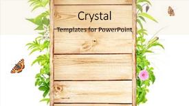  Presentation with summer flowers - Slide deck having summer frame with green leaves flowers and insects isolated on white background background and a lemonade colored foreground