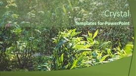  Presentation with irrigation - Colorful theme enhanced with summer-garden-watering-by-irrigation backdrop and a violet colored foreground