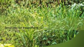  Presentation with irrigation - Presentation theme having summer-garden-watering-by-irrigation background and a yellow colored foreground