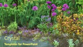  Presentation with summer flowers - Audience pleasing presentation theme consisting of summer-garden-with-flowers backdrop and a tawny brown colored foreground